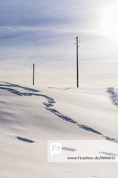 Österreich  Kleinwalsertal  Fußspuren im Schnee