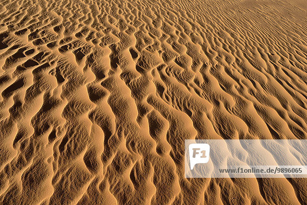 Algerien  Tassili n' Ajjjer  Sandrippel auf einer Wüstendüne bei Sahara