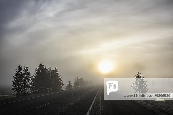 USA  Yellowstone Nationa Park  Morgenstimmung  Straße und Nebel bei Sonnenaufgang