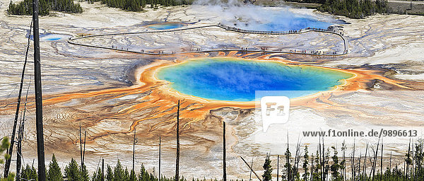 USA Wyoming Yellowstone Nationalpark Grand Prismatic Spring Panorama