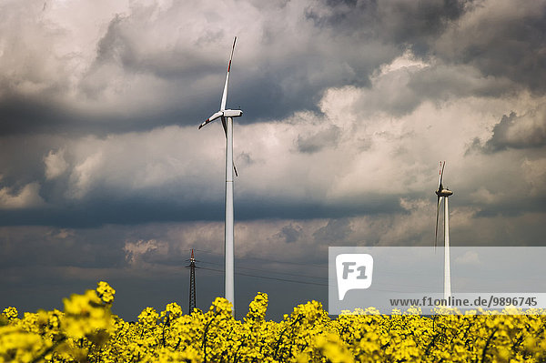 Deutschland  Borschemich  Power Pylon und Windräder im gelben Rapsfeld