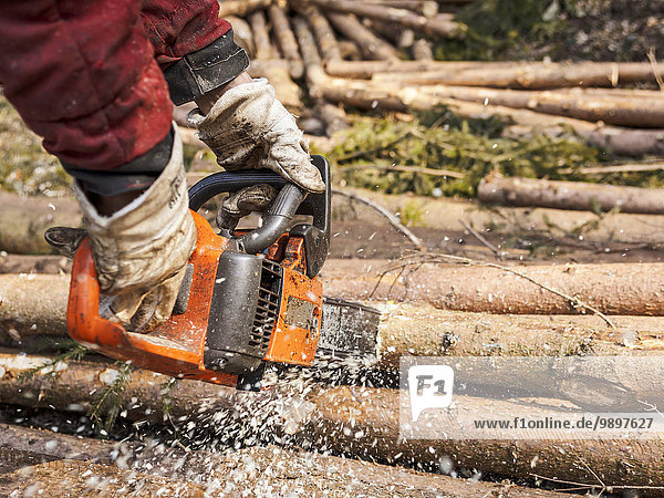 Deutschland,  Mühlenbach,  Holzfällerhände sägen Baumstamm mit Motorsäge