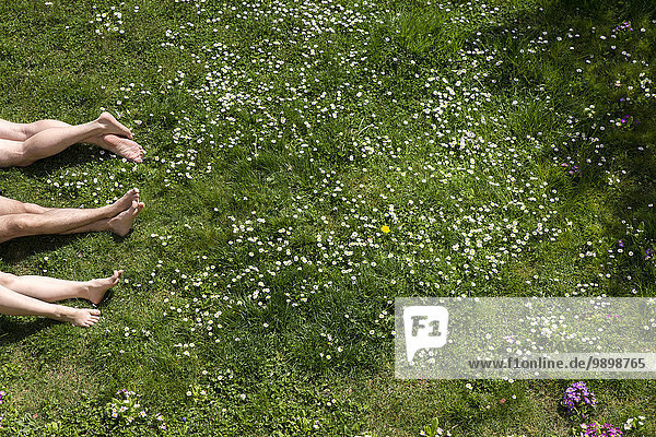 Beine von drei Personen auf der Frühlingswiese liegend