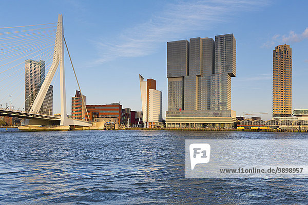 Niederlande  Rotterdam  Blick auf die Skyline