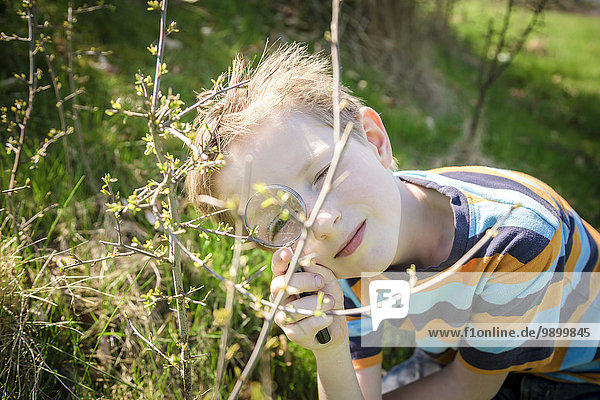 Boy exploring twig with magnifying glass
