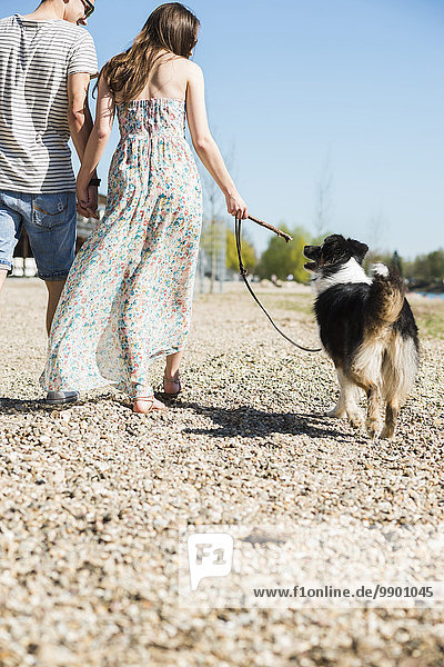 Junges Paar  das im Sommer mit Hund im Freien spazieren geht