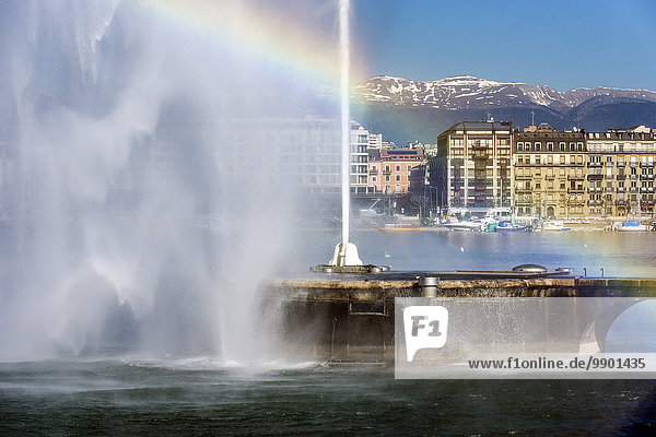 Switzerland  Geneva  fountain of the Jet d'Eau at Lake Geneva