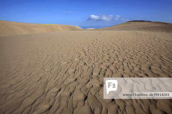Dunes  Maspalomas Dunes Nature Reserve  Gran Canaria  Canary Islands  Spain  Europe