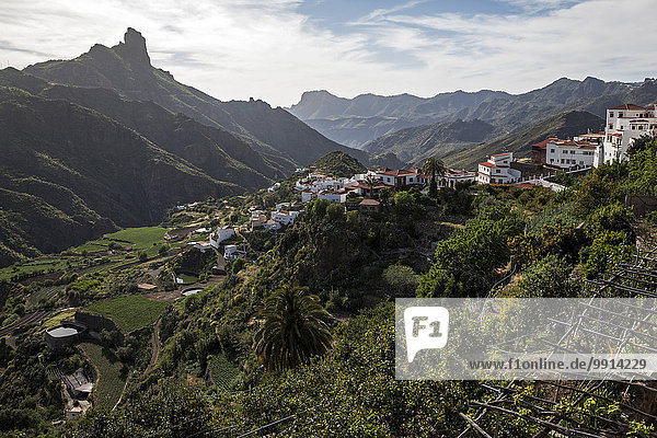 Ausblick auf Tejeda  den Barranco de Tejeda und Roque Bentayga  Gran Canaria  Kanarische Inseln  Spanien  Europa