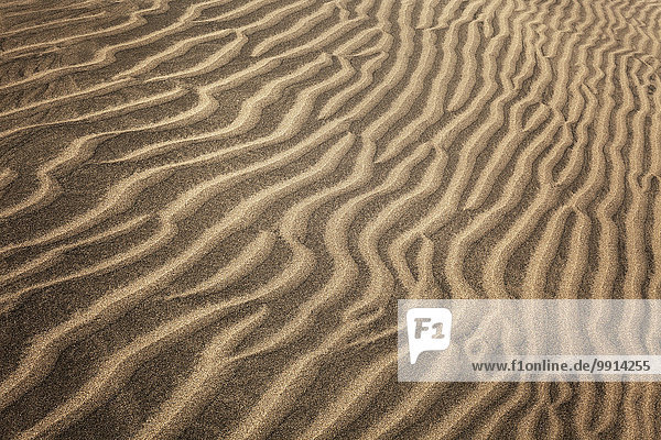 Strukturen im Sand  Dünen von Maspalomas  Naturschutzgebiet  Gran Canaria  Kanarische Inseln  Spanien  Europa