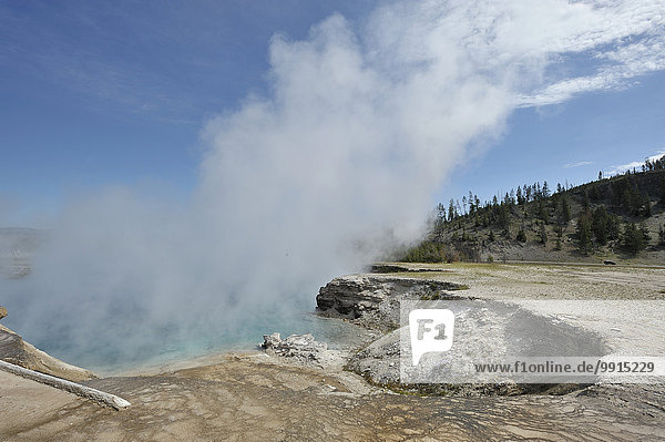 Thermalquelle lässt Dampf ab  Yellowstone-Nationalpark  Wyoming  USA  Nordamerika