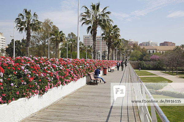 Puente de las flores Blumenbrücke über den Park Jardin del Turia Valencia Spanien Europa