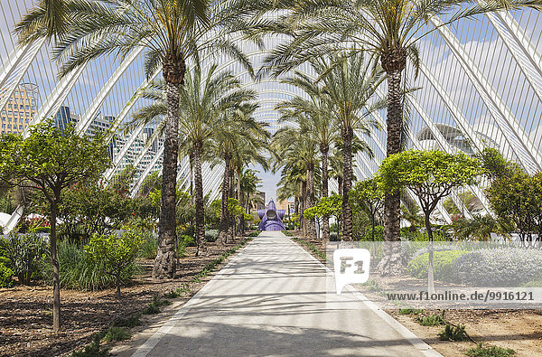Die Stadt der Künste und Wissenschaften L'Umbracle Valencia Spanien Europa