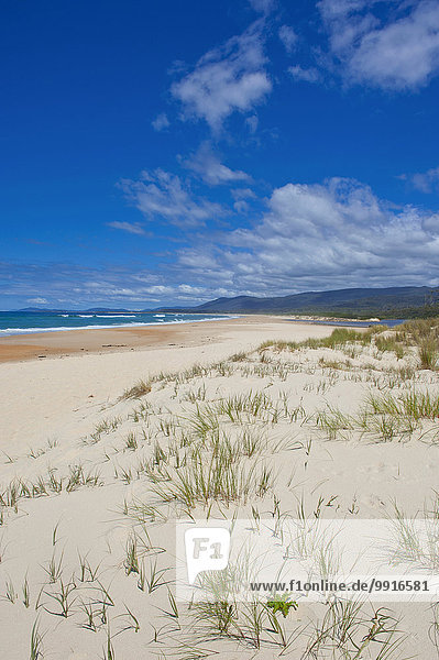 Strand an der Ostküste  Tasmanien