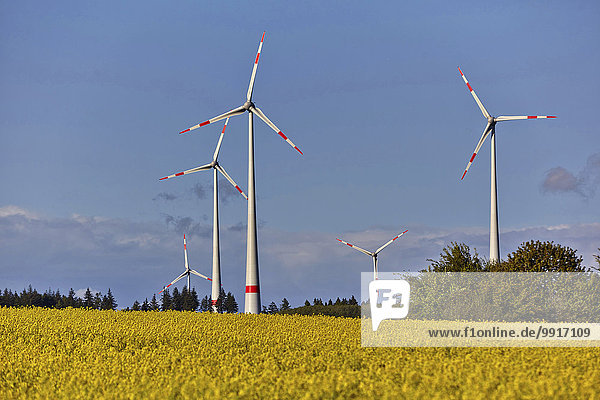 Wind turbines in Hunsrück  Kappel  Rhineland-Palatinate  Germany  Europe