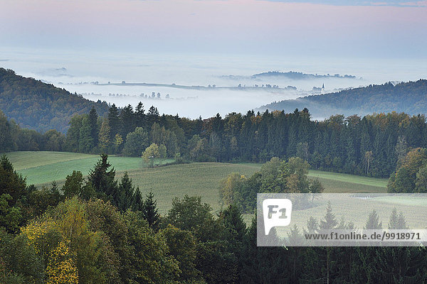 Landschaftlich schön landschaftlich reizvoll Morgen Hügel Nebel früh Herbst Landschaft Draufsicht Bayern Deutschland Nationalpark Bayerischer Wald