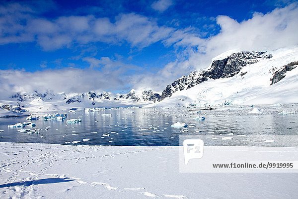 Blick auf Eisberge und Berge  Insel Cuverville  Antarktis