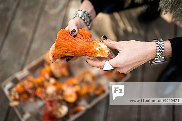 Womans hands holding lobster mushroom