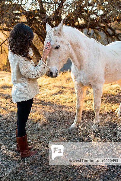 Young woman petting white horse in field