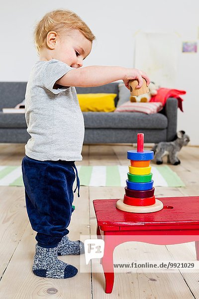 Junge spielt mit Blöcken zu Hause