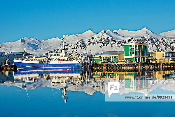 View of harbor fishing boats and snow covered mountains  Hofn  Iceland