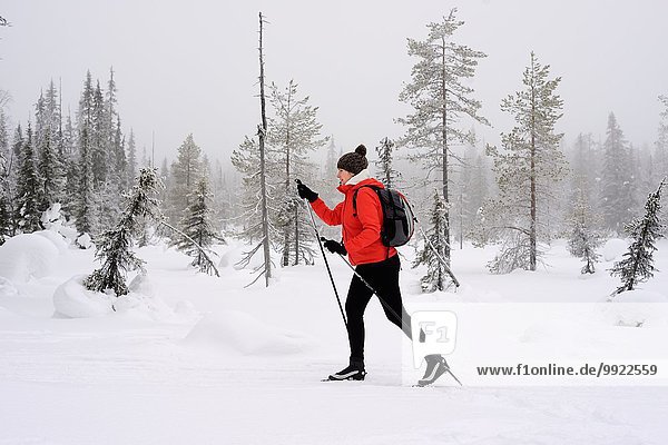 Junge Frau Nordic Walking im verschneiten Wald  Posio  Lappland  Finnland