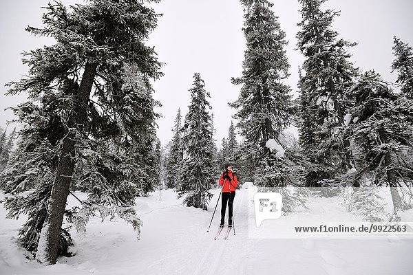 Junge Frau beim Skifahren im verschneiten Wald  Posio  Lappland  Finnland