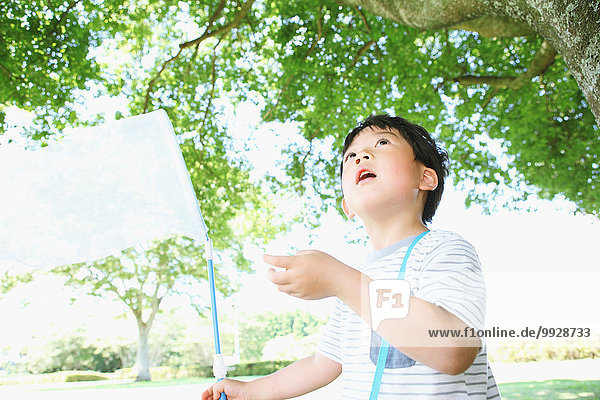 Japanese young boy with butterfly net in a city park