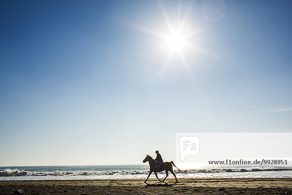 Horseback rider on beach