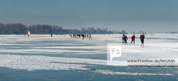 Netherlands  Holland  Europe  Monnickendam  Skating  lake Ijssel  landscape  water  winter  snow  ice  people  skaters