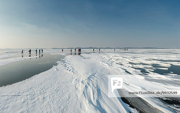 Netherlands  Holland  Europe  Monnickendam  Skating  lake Ijssel  landscape  water  winter  snow  ice  people  skaters