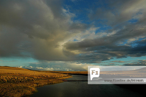 Wolke fließen Fluss Falklandinseln Meeresarm Südamerika Steppe