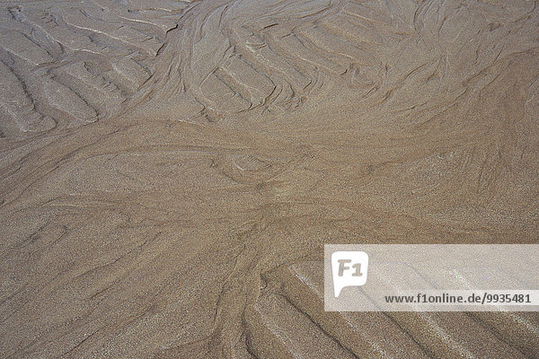 Detail Details Ausschnitt Ausschnitte Muster Form Formen Wasser Strand Sommer nass Konzept Großbritannien Gebäude Küste Meer Gezeiten Natur Abstraktion Close-up Sand Highlands Sandstrand braun Linie Nordsee Ockerberge Schnittmuster Schottland schottisch schottische Highlands