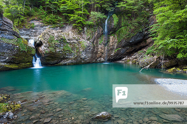 Felsbrocken Europa Steilküste Wald Holz Wasserfall Schweiz