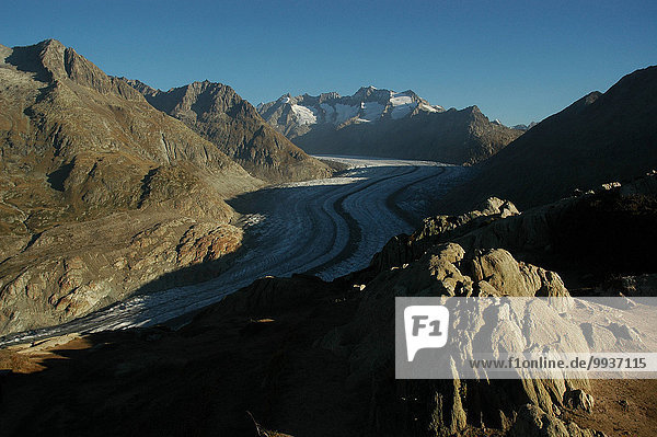 Europa Morgen Aletschgletscher Gross Wannenhorn Gletscher Bettmeralp Schweiz