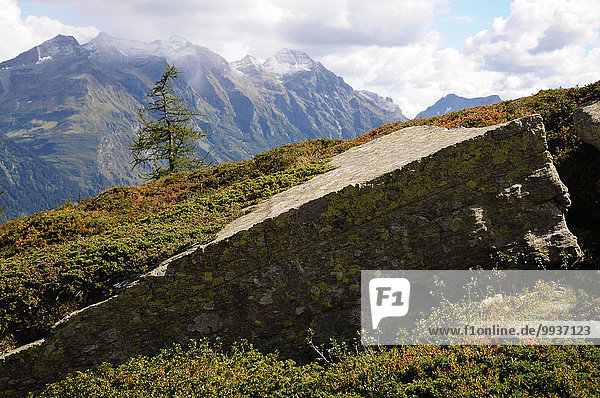 Felsbrocken Europa Steilküste Kanton Graubünden Megalith Schweiz