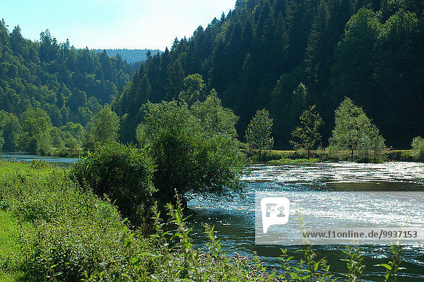 Frankreich Europa Sommer Wald fließen Fluss Holz Wiese Grenze Mischwald Schweiz