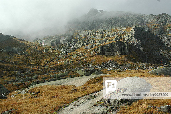 Felsbrocken Europa Steilküste Nebel Herbst Wiese Granit Schweiz