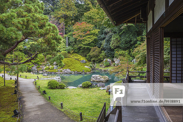 niedlich süß lieb Landschaft Weg grün niemand Reise Architektur bunt Natur Garten Tourismus Tempel Asien Japan japanisch Kyoto Teich