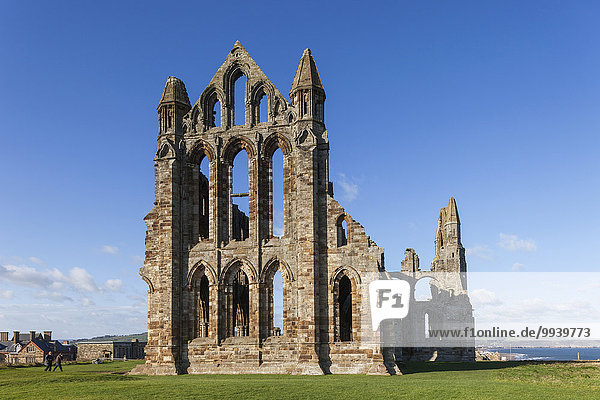 England  Yorkshire  Whitby  Whitby Abbey