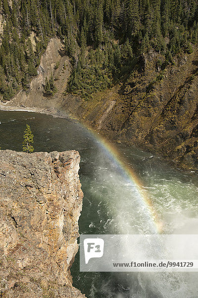 Vereinigte Staaten von Amerika USA Nationalpark Amerika Fluss Wasserfall Yellowstone Nationalpark UNESCO-Welterbe Rocky Mountains Schlucht Regenbogen Wyoming