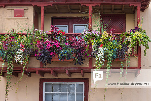 Europa Blume Wohnhaus Gebäude Stadt Großstadt Balkon Kanaren Kanarische Inseln Altstadt Palma de Mallorca La Palma Spanien