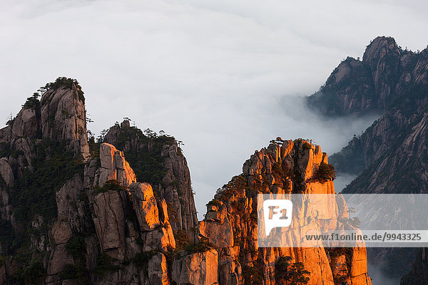 Nationalpark Felsbrocken Berg Baum Steilküste Nebel Kiefer Pinus sylvestris Kiefern Föhren Pinie China Morgendämmerung UNESCO-Welterbe Asien Morgenlicht