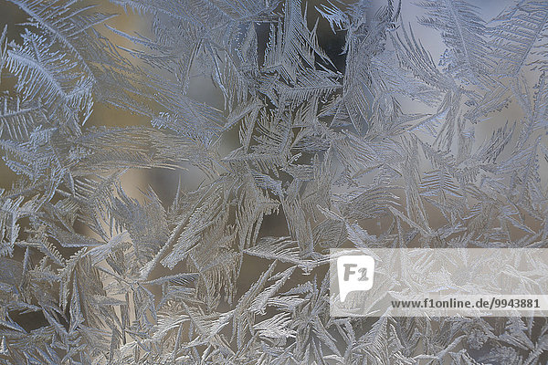 Eis und Frost auf einem Fenster,  Estrie,  Waterloo,  Quebec,  Kanada,  Nordamerika