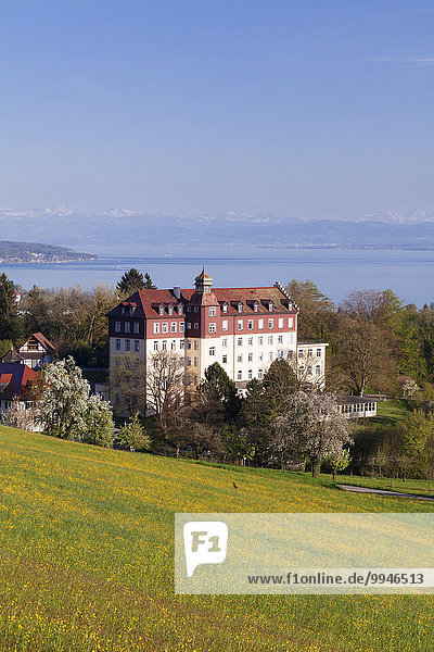 Schloss Spetzgart  hinten der Bodensee und die Alpen  Überlingen  Baden-Württemberg  Deutschland  Europa