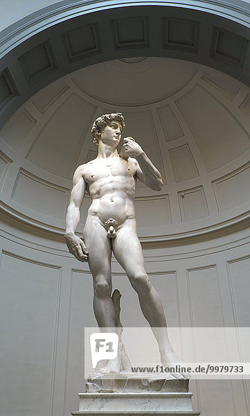 Statue des David von Michelangelo,  Galleria dell´Accademia,  Florenz,  Toskana,  Italien,  Europa