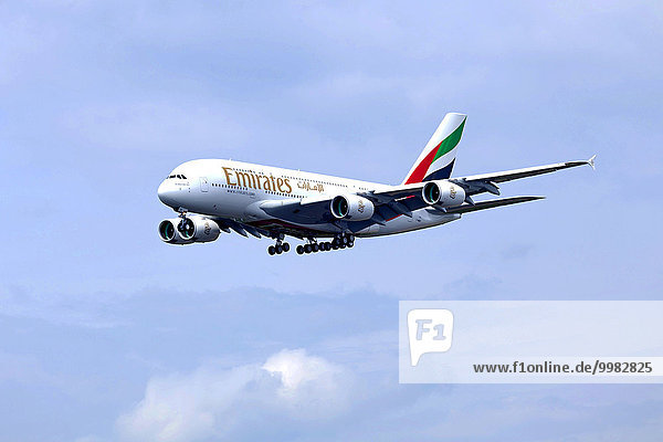 Emirates Airbus im Anflug auf den Flughafen Finkenwerder  Hamburg  Deutschland  Europa