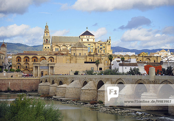 Roman bridge across the Guadalquivir  the Mosque-Cathedral behind  Cordoba  Andalucia  Spain  Europe