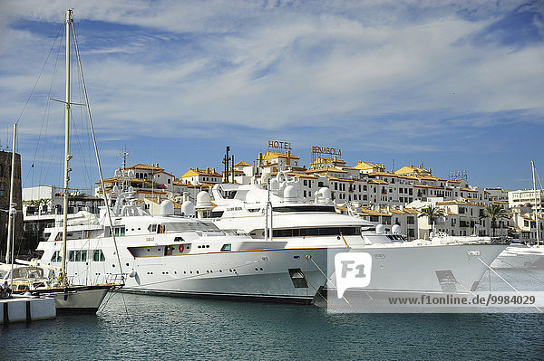 Hafen  Porto Banús  Andalusien  Spanien  Europa