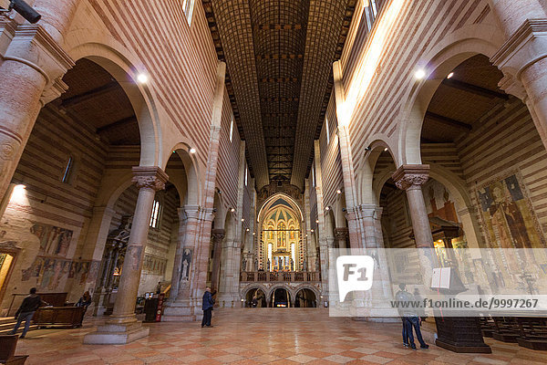 Italy  Veneto  Verona  Basilica di San Zeno  indoor